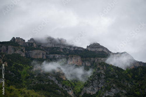 Niebla y montañas