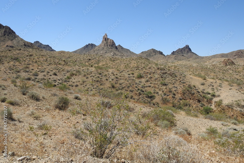 The beautiful scenery of the Mojave Desert, with the Black Mountains in the background, Mohave County, northwestern Arizona. The beautiful scenery of the Mojave Desert, with the Black Mountains in the background, Mohave County, northwestern Arizona.