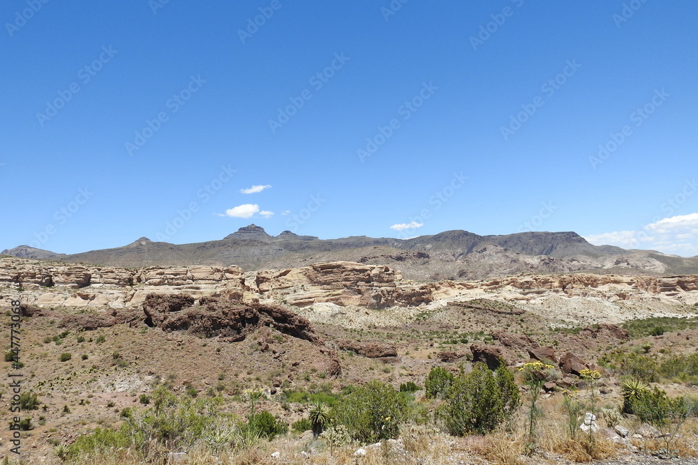 The beautiful scenery of the Mojave Desert, with the Black Mountains in the background, Mohave County, northwestern Arizona.