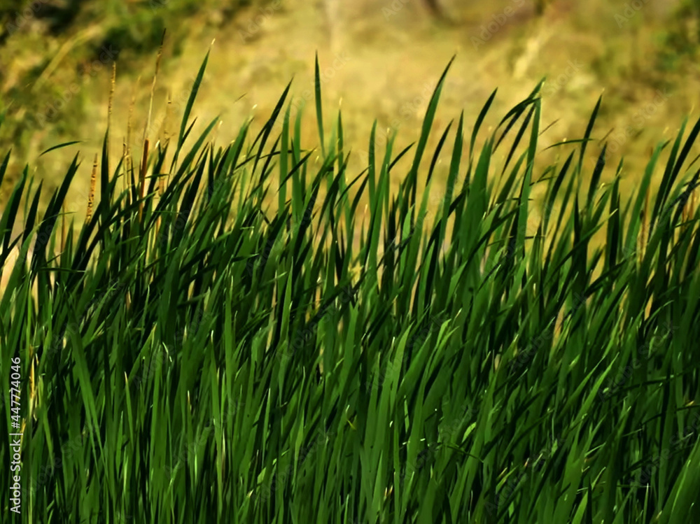 a close up of green grass