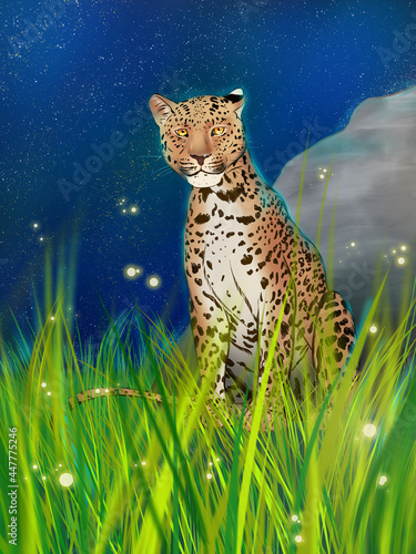 фотографія Leopard im Gras