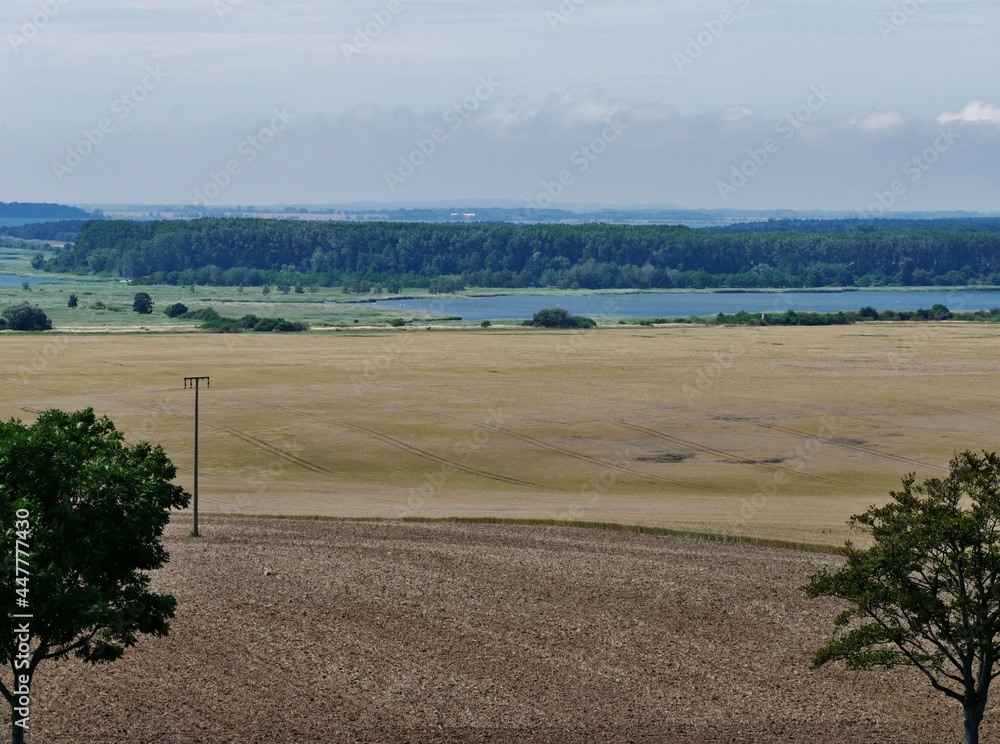 Fototapeta premium Landschaft auf Rügen Jasmund