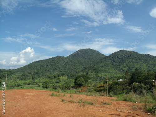 Beautiful Scene of African Landscape