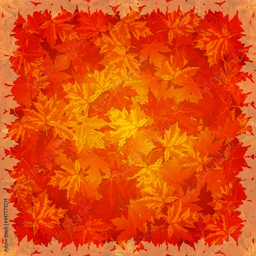 Beautiful autumn background with maple leaves.