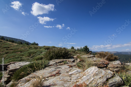 paysage cevenol