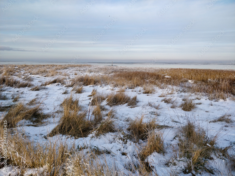Iced field landscape at the north sea with plants growing through the snow in winter with the sea in the background 