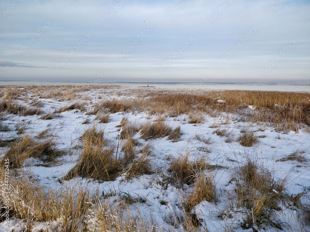 Iced field landscape at the north sea with plants growing through the snow in winter with the sea in the background Iced field landscape at the north sea with plants growing through the snow in winter with the sea in the background