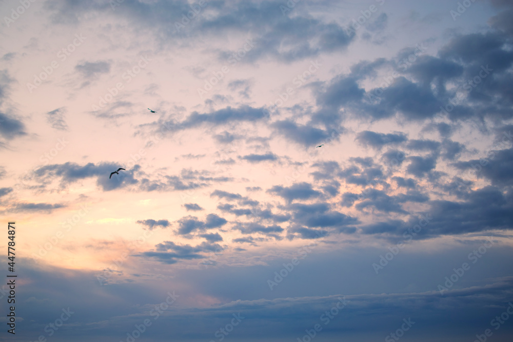 sunset - sky sunset - sky