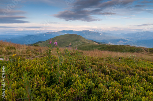 View of the Bieszczadzkie peak from Po  onina Cary  ska  Bieszczadzki National Park  Wetlina