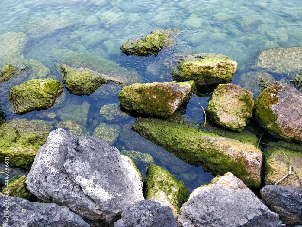 rocks in the water