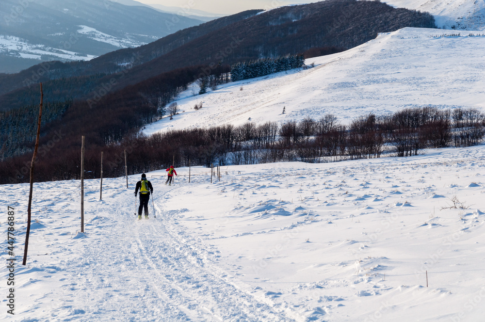 Bieszczady in winter seen from the top of Polonina Wetlinska, the Bieszczady Mountains, the Carpathians, Skiing