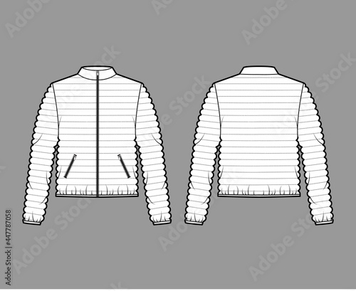 Down puffer coat jacket technical fashion illustration with long sleeves, stand collar, zip-up closure, pockets, hip length, narrow quilting. Flat template front, back, white color. Women, men top CAD