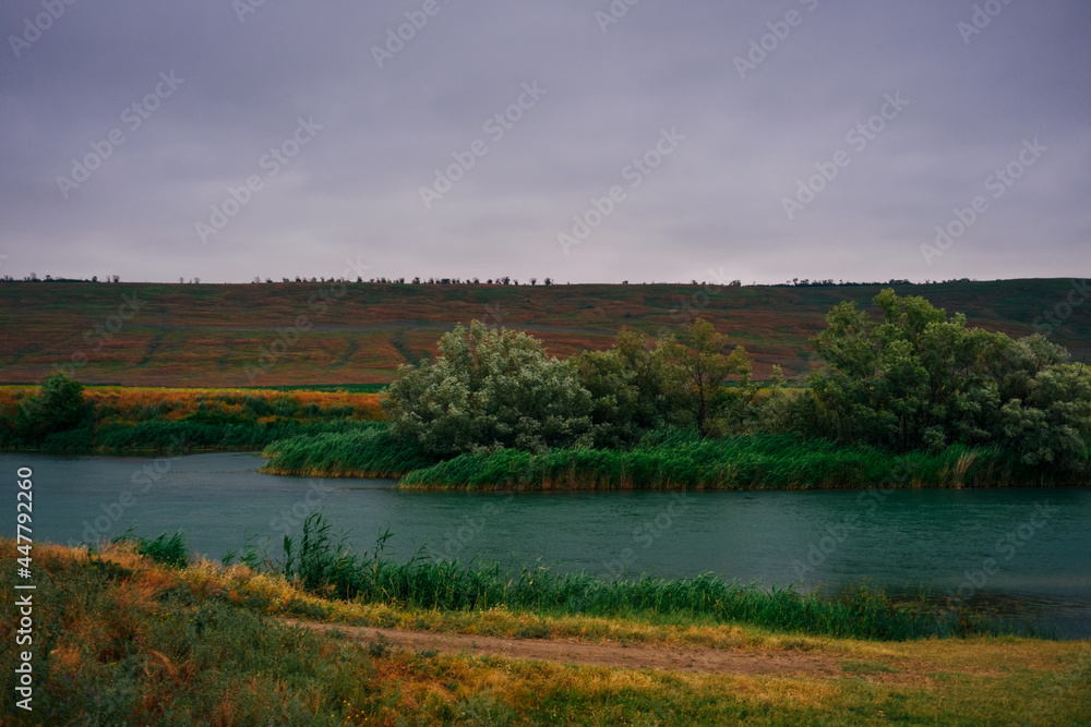Beautiful color landscape: sky, yellow grass and green reeds along the banks of the river