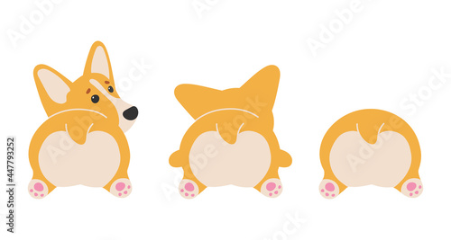 Cute ginger dog, Welsh Corgi Pembroke, back view. Corgis heart butt isolated on white background. Vector illustration for postcard, banner, web, decor, design, arts, calendar.