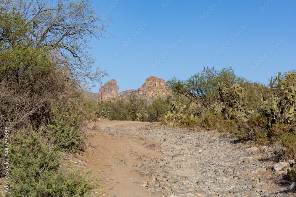 Desert Landscape with Dry Wash
