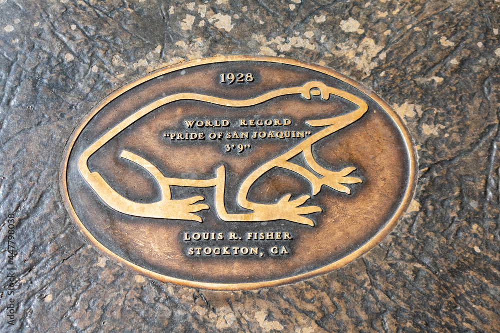 Frog Hop of Fame. Plaque on sidewalk of historic Main Street showing