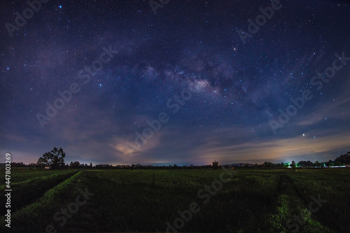 The Milky Way galaxy on rice paddy fields. Long exposure photograph, with grain.Image contain certain grain or noise and soft focus.