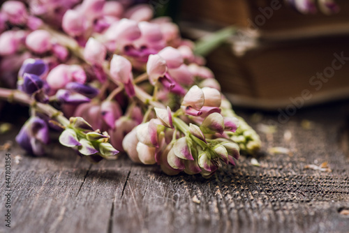 Colorful lupine flowers on the rustic background in atmospheric environment. Selective focus. Shallow depth of field.