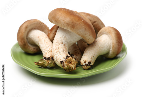 Shiitake mushroom on the White background 