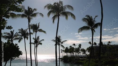 Beautiful big island beach view photo
