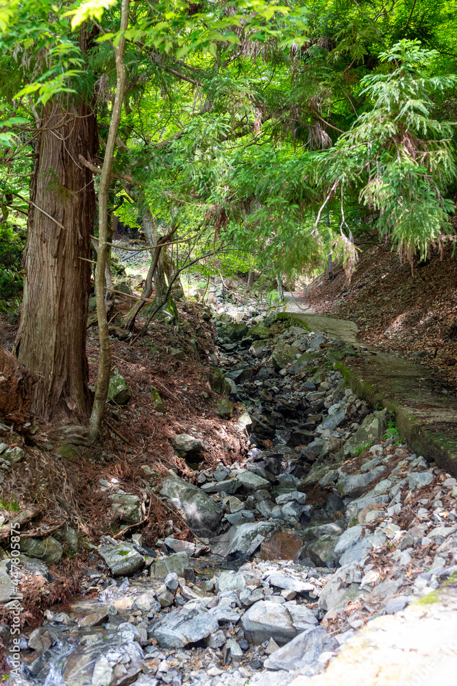Shintakimichi hiking course for mount Myoken Shintakimichi hiking course for mount Myoken