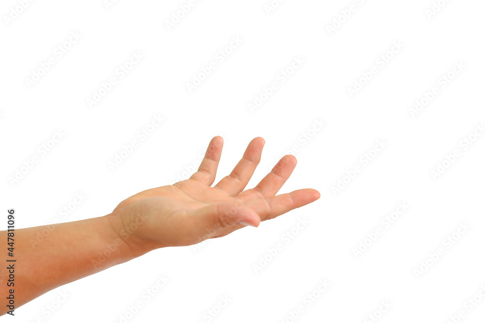 People hand with open palm up or receive gesture isolated on white background. Holding or offering concept. Image with Clipping path