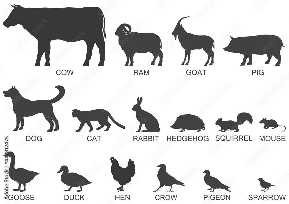 Silhouettes of animals of the farm and suburb, icon set. Vector illustration. Silhouettes of animals of the farm and suburb, icon set. Vector illustration.