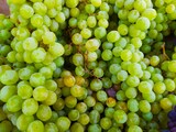bunch of green grapes