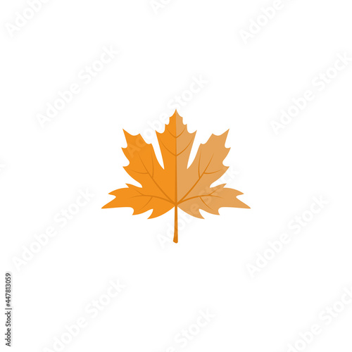 Fall leaf icon design template vector isolated illustration