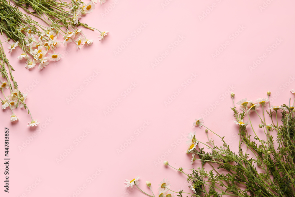 Beautiful chamomile flowers on color background Beautiful chamomile flowers on color background