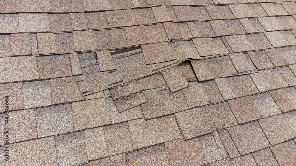 damaged roof shingles in need of repair Stock Photo Adobe Stock