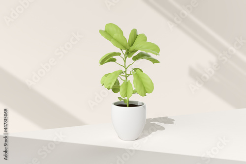 Tree pot in white background. minimal concept idea creative. 3D render.