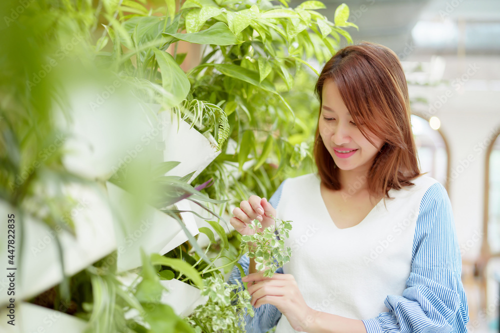 A beautiful Asian woman is standing in the garden plucking leaves happily and smiling. A beautiful Asian woman is standing in the garden plucking leaves happily and smiling.