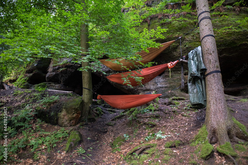 Fototapeta premium Wandere übernachten im Wald in Reisehängematten 