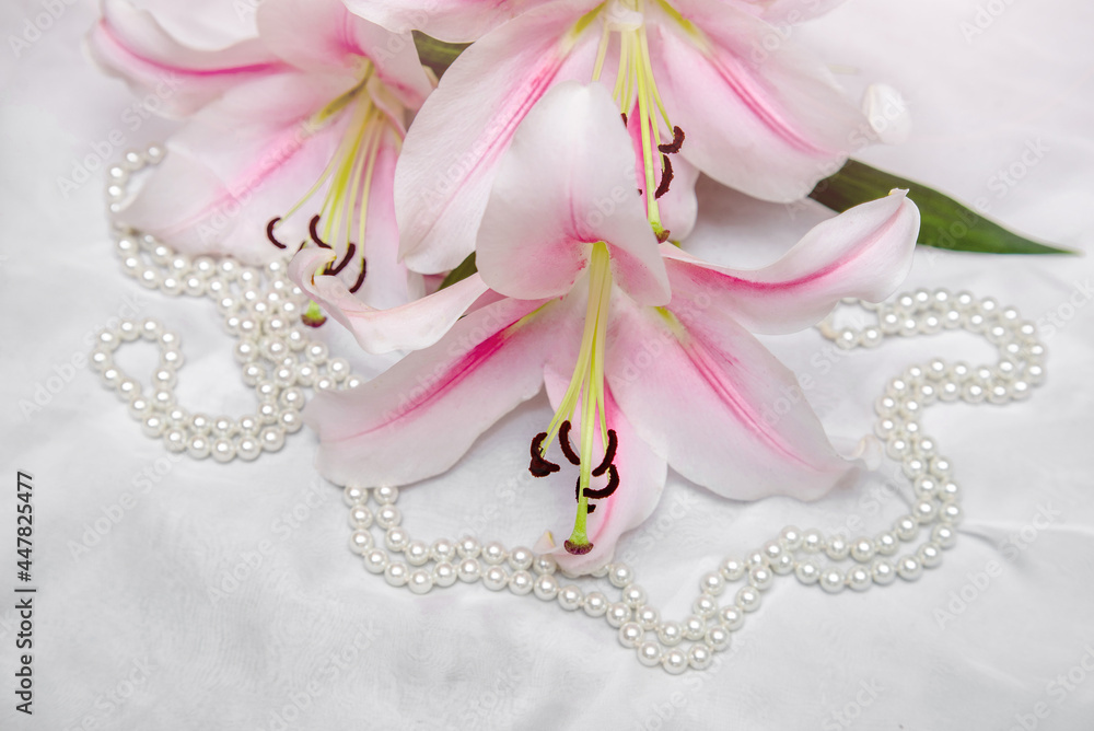 The branch of white lilys on white fabric background
The branch of white lilys on white fabric background