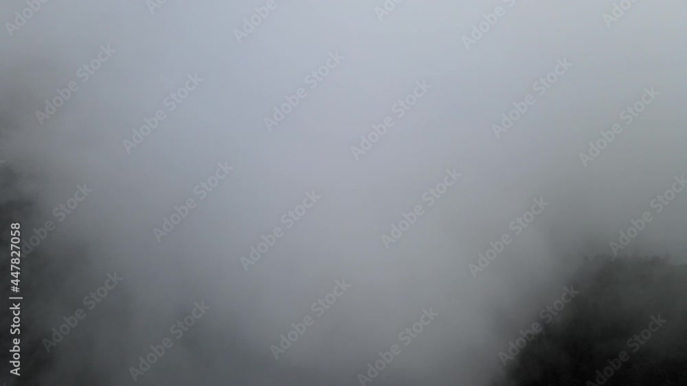 Tilt down of fog and forest view Tilt down of fog and forest view