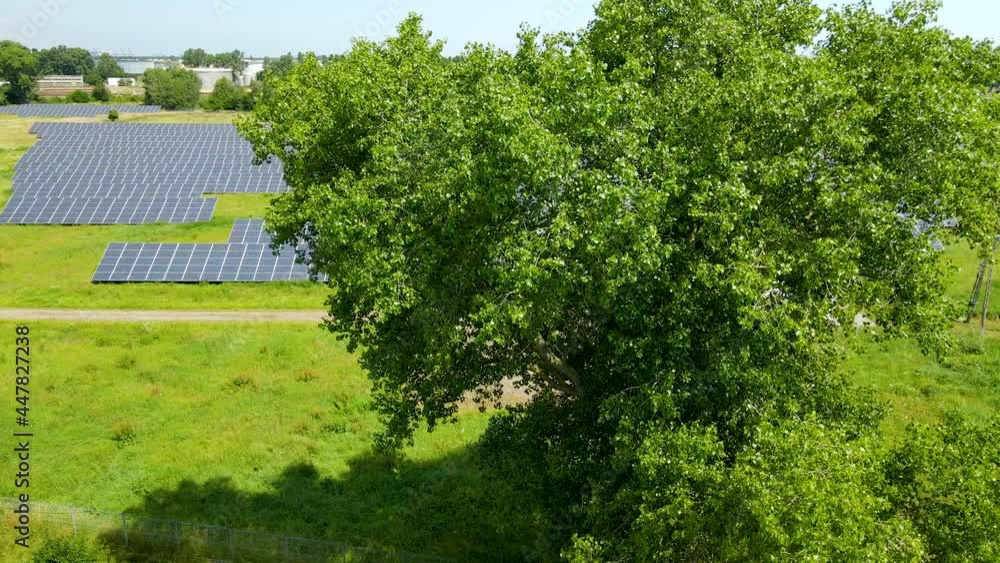 Tree in a fourground and Solar panel park in Background, Gdansk Poland aerial side motion Tree in a fourground and Solar panel park in Background, Gdansk Poland aerial side motion