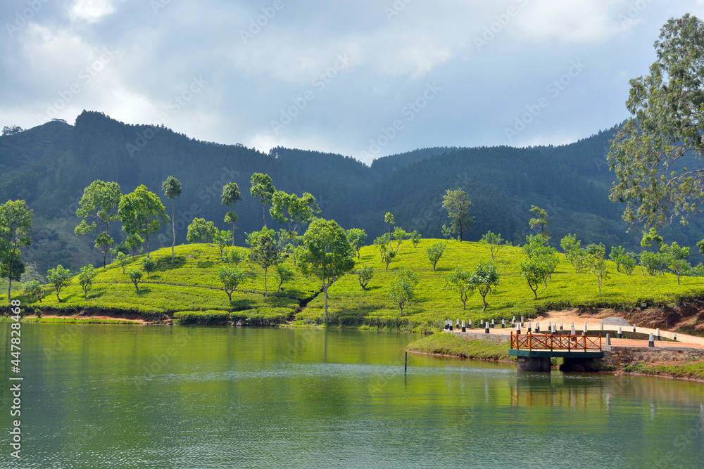 lake in the mountains in Sri Lanka (Sembuwattha) lake in the mountains in Sri Lanka (Sembuwattha)