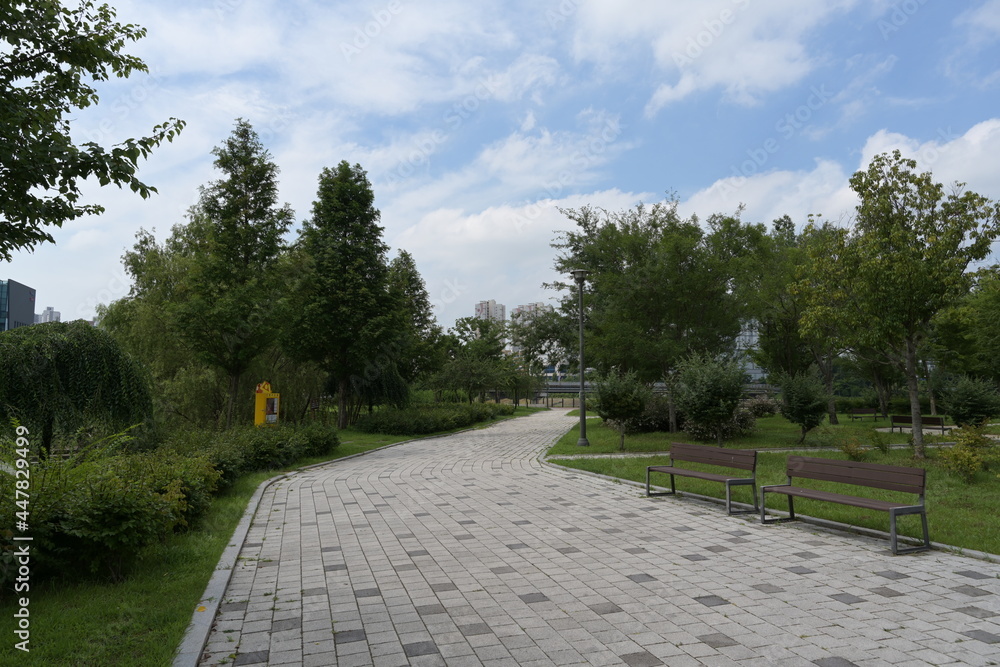 park with promenade path and Trees park with promenade path and Trees