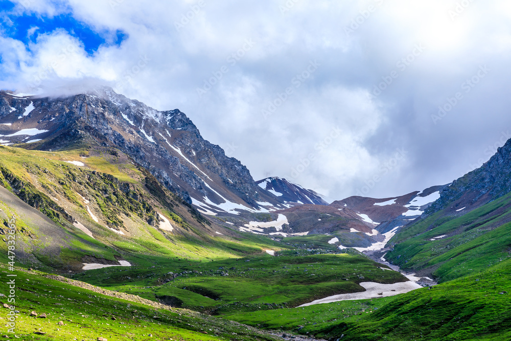 Fototapeta premium Nalati grassland with snow mountain scenery in Xinjiang,China.