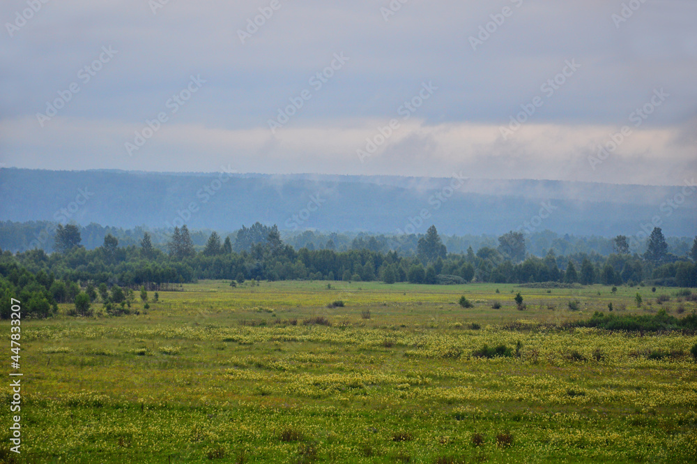 Summer landscape. Morning fog over the forest. Blooming river valley. The day begins. Nature of Eastern Siberia, Russia