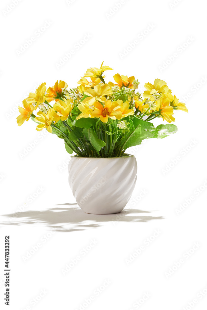 Subject shot of yellow chrysanthemums in little white ceramic pot. Fine faux flowers for interior design are isolated on the white background. 