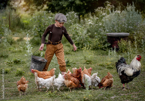 The boy feeds the chickens outdoors. Farmer.