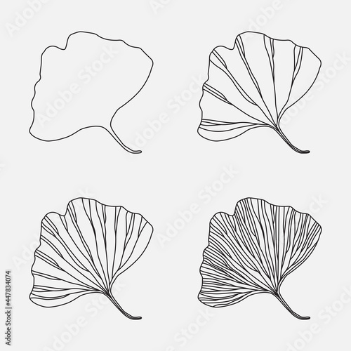Gingko biloba leaf. Set of simple icons. Line design, editable strokes. Vector illustration, EPS 10