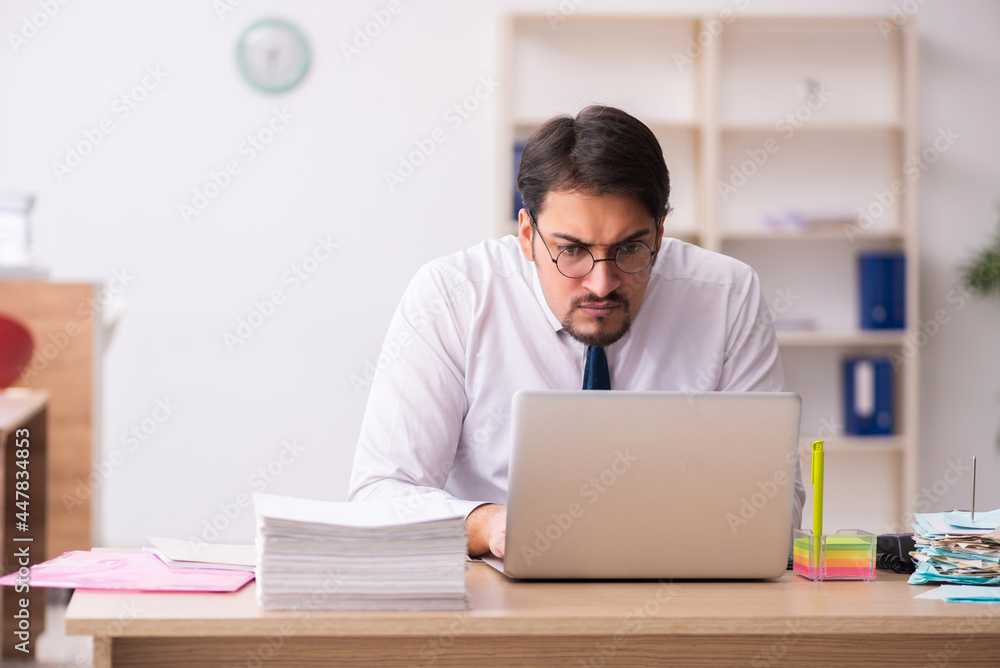 Young male bookkeeper in budget planning concept Young male bookkeeper in budget planning concept