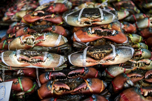 fresh sea crabs tied up for sale at the seafood market
