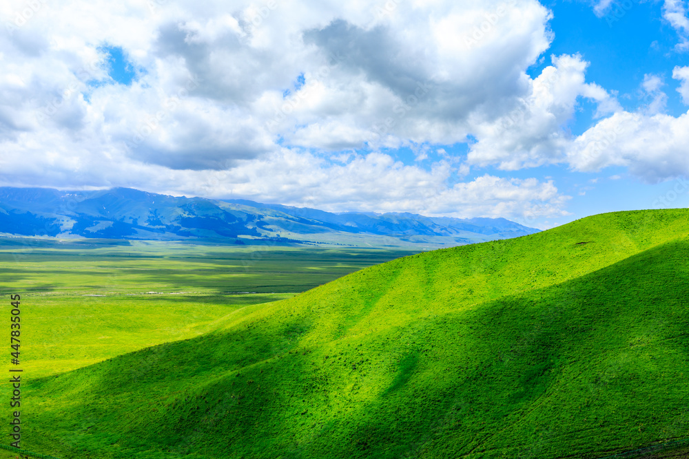 Obraz premium Nalati Grassland natural scenery in Xinjiang,China.