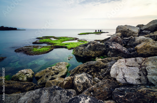Byblos coastline with fishermen on a rock covered with algae in water, Jbeil, Lebanon