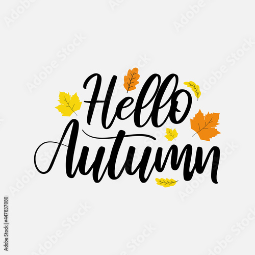 Hello autumn decorated with leaves vector illustration  autumn lettering in isolated background for greeting card  banner  poster  label and post card