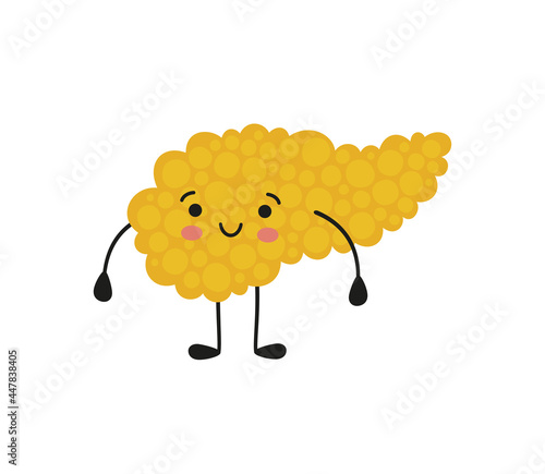 Pancreas kawaii healthy character with smile. Drawing of a healthy pancreas. Isolated vector illustration on white background.